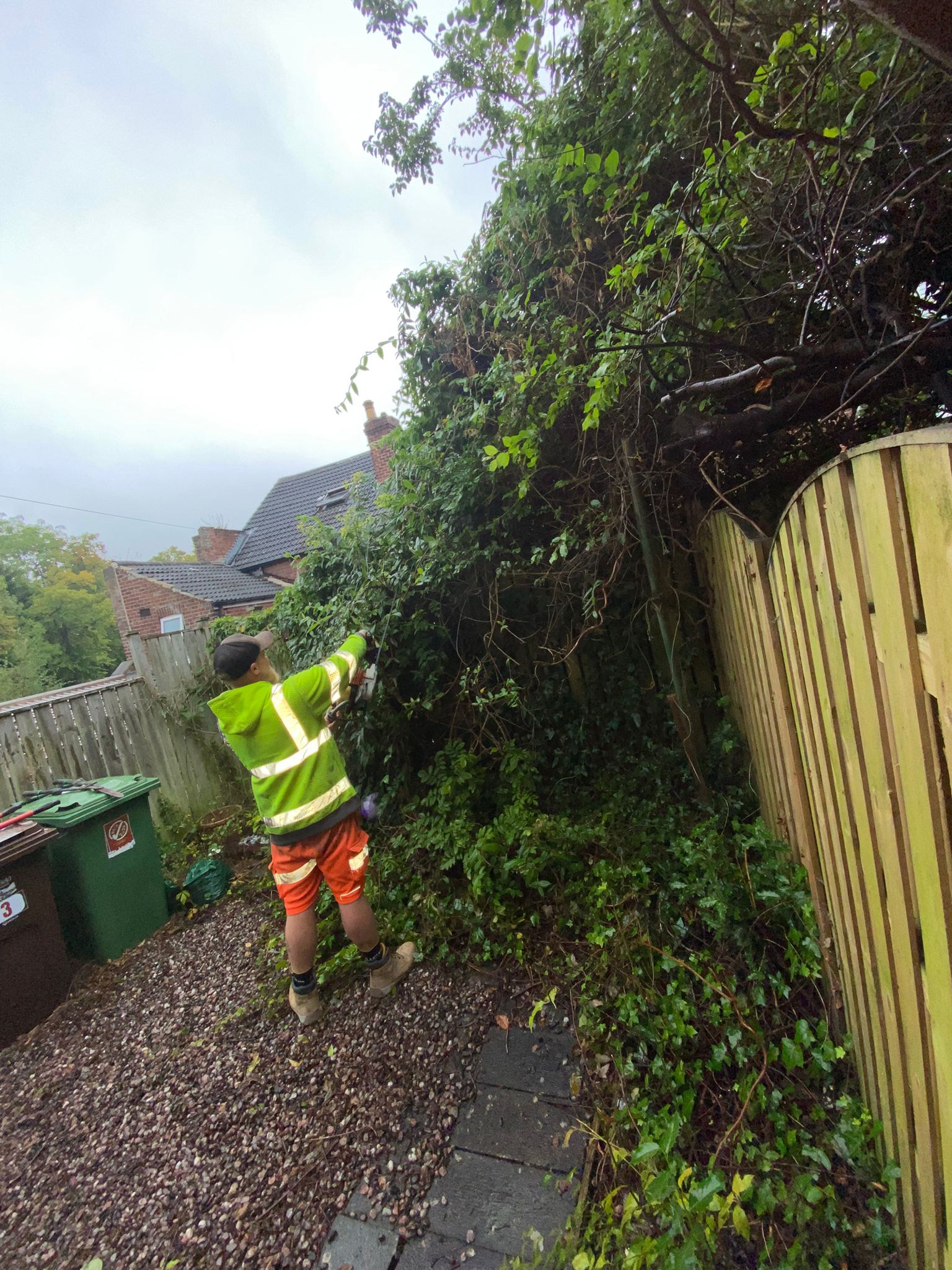 Image of Jamie busy trimming down an overgrown hedge